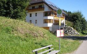 Ferienwohnungen Daheim Titisee